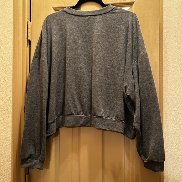 Charcoal Altar'd State Tiger Graphic Crop Long Sleeve - Picture 3 of 6